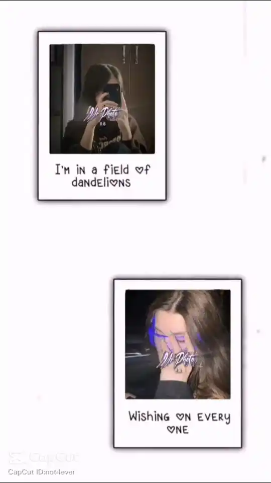 Dandelions Capcut Template Link – Use in CapCut App